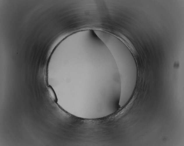 X0000089400812200707131739