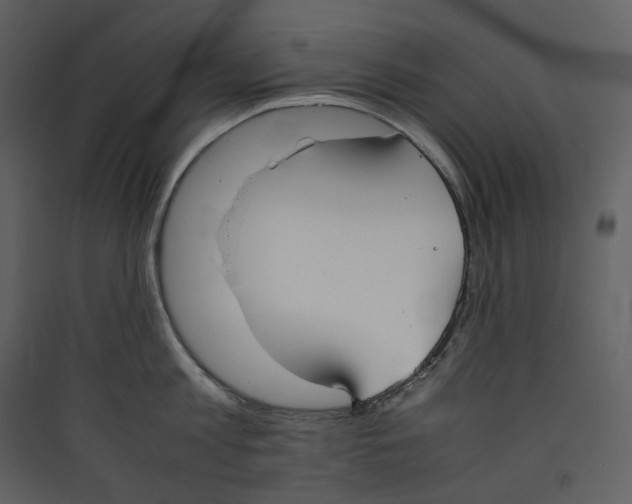 X0000089400813200707131739