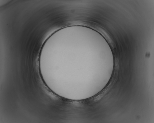 X0000089400814200707131739