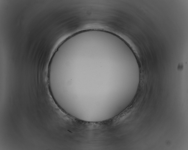 X0000089400815200707131739