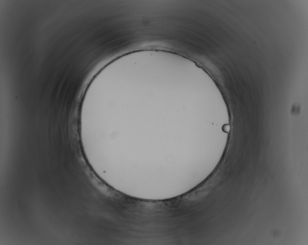 X0000089400816200707131739