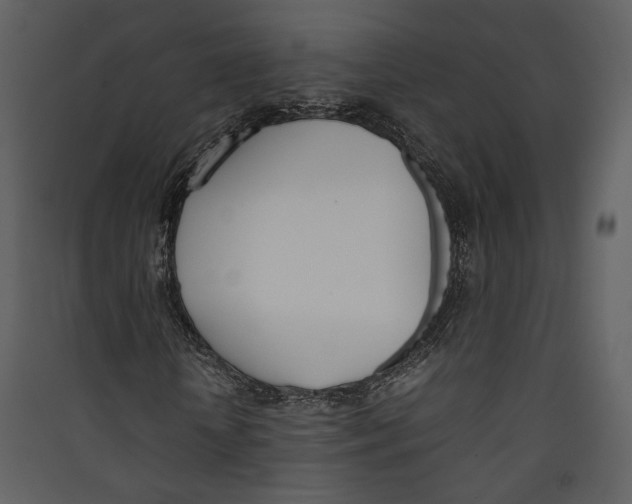 X0000089400818200707131738