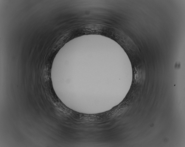 X0000089400819200707131738