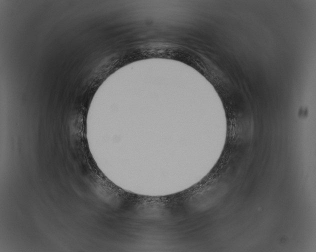 X0000089400820200707131738