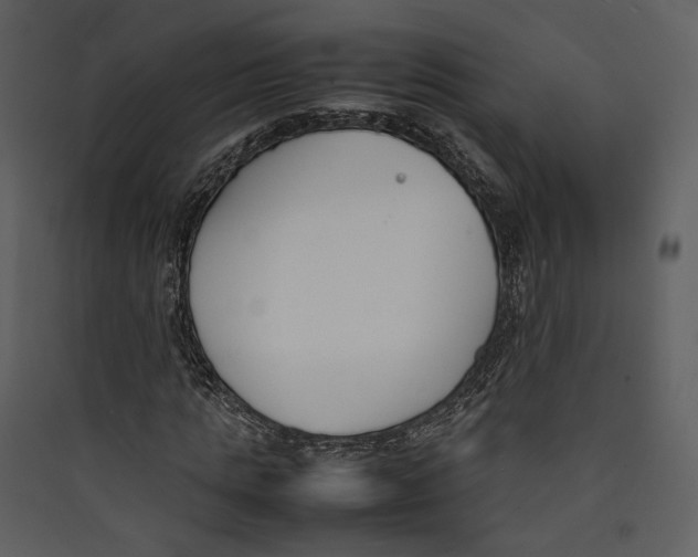 X0000089400821200707131738