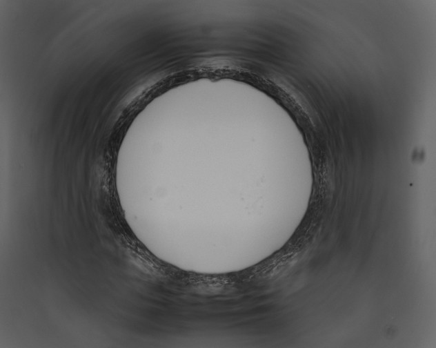 X0000089400823200707131738