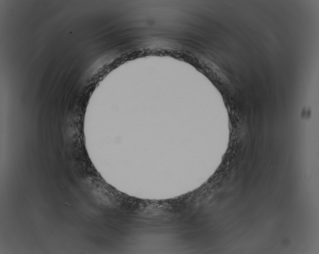 X0000089400824200707131738