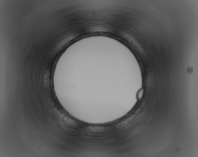 X0000089400825200707131738