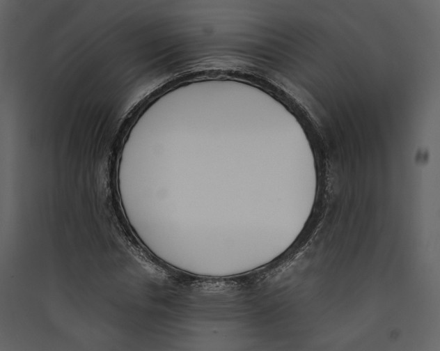 X0000089400826200707131738