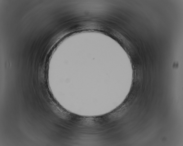 X0000089400828200707131738