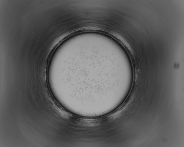X0000089400829200707131738