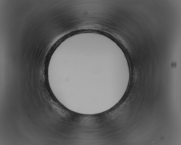 X0000089400830200707131738