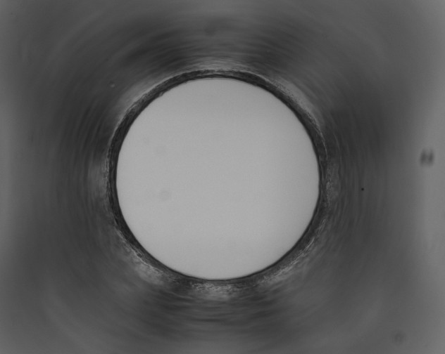 X0000089400831200707131738