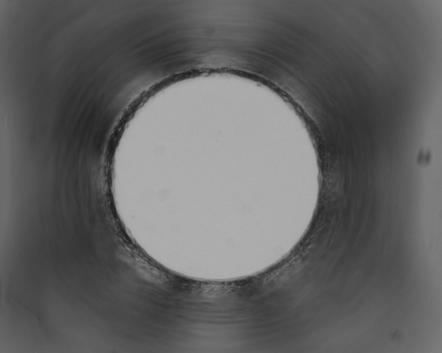X0000089400832200707131738
