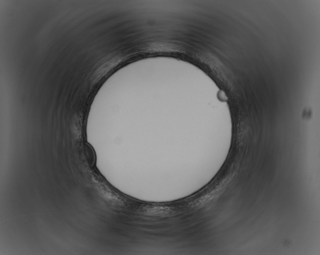 X0000089400833200707131738