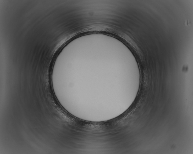 X0000089400834200707131738