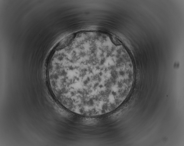 X0000089400835200707131738