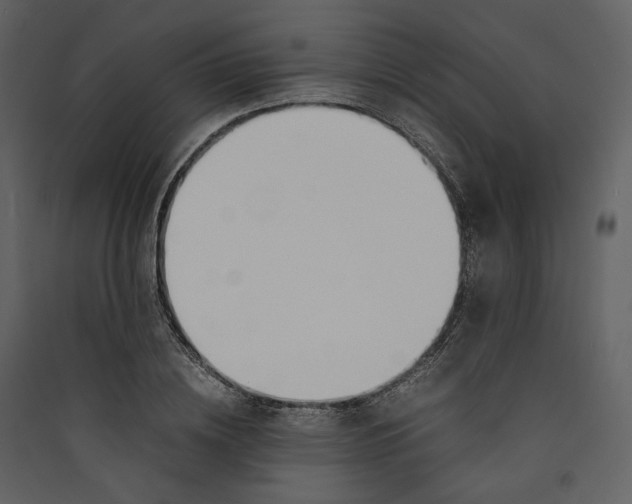X0000089400836200707131738