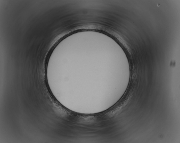 X0000089400837200707131738