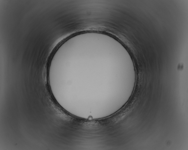 X0000089400838200707131738