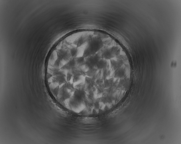 X0000089400839200707131738