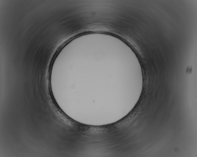 X0000089400840200707131738