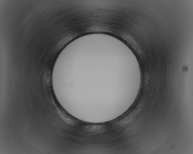 X0000089400841200707131738