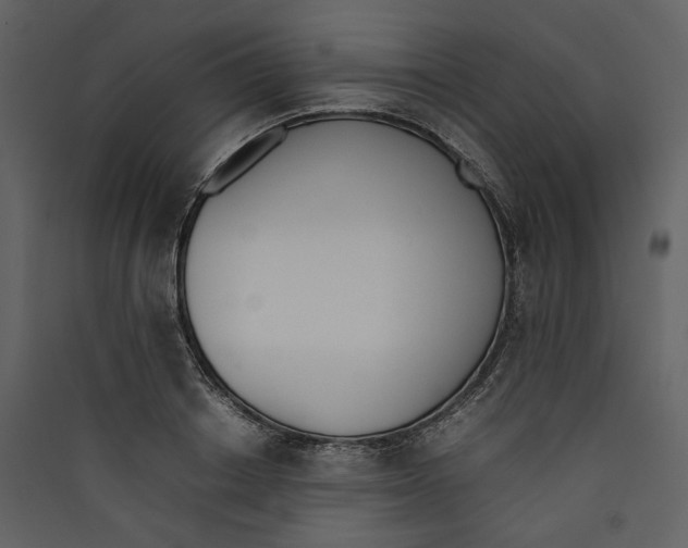 X0000089400842200707131738