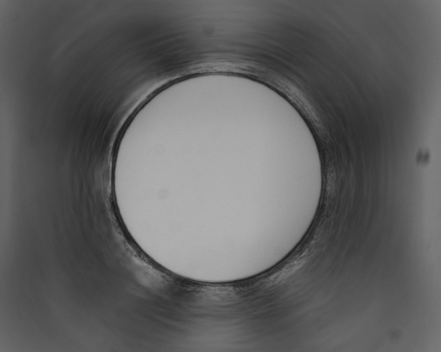 X0000089400844200707131738