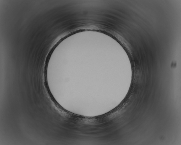 X0000089400845200707131738