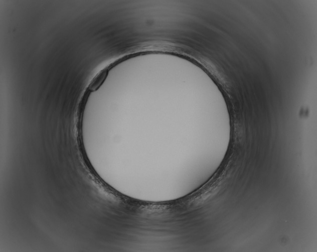 X0000089400846200707131738
