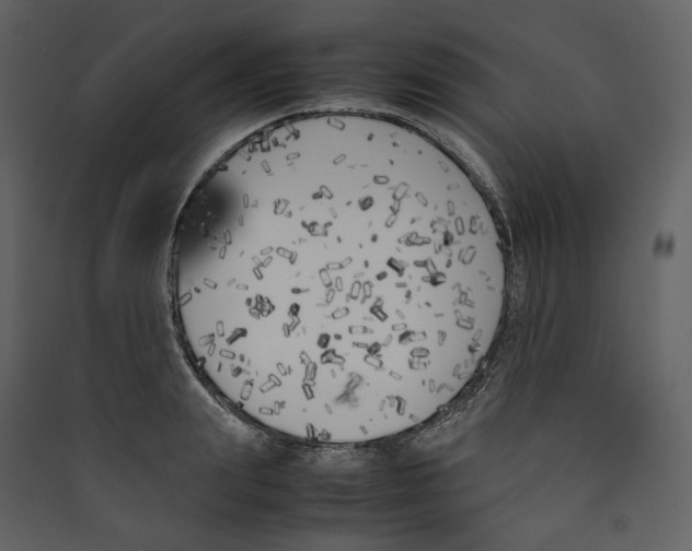 X0000089400847200707131738