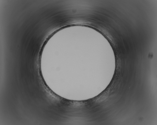 X0000089400848200707131738