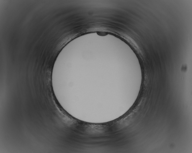 X0000089400849200707131738