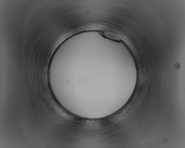 X0000089400850200707131738