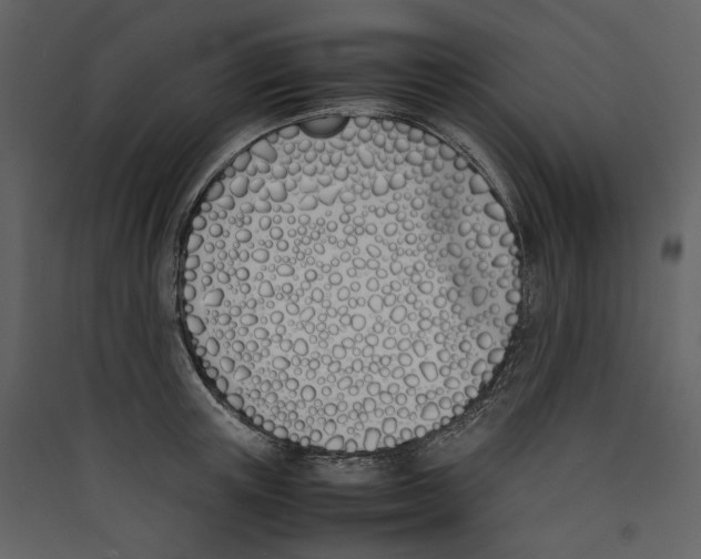 X0000089400851200707131738