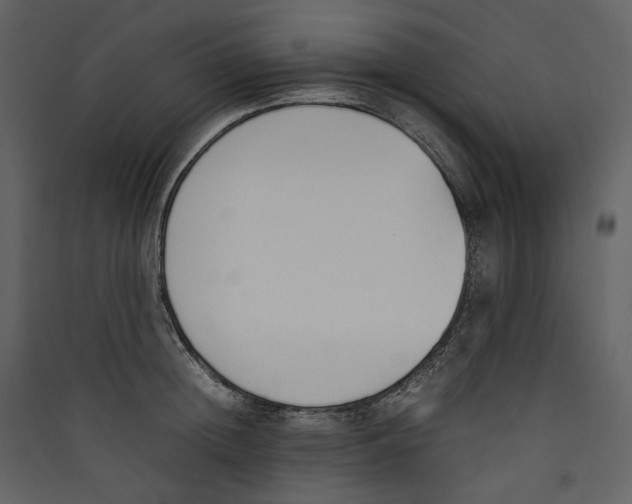 X0000089400852200707131738