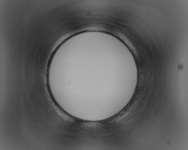 X0000089400853200707131738