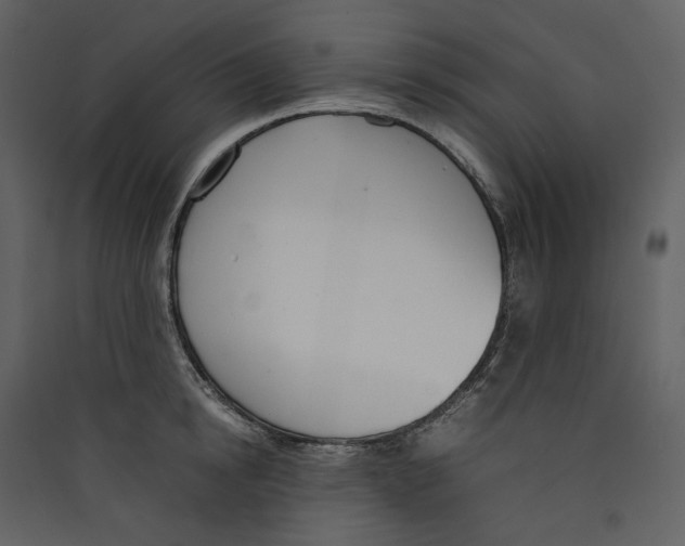 X0000089400854200707131738