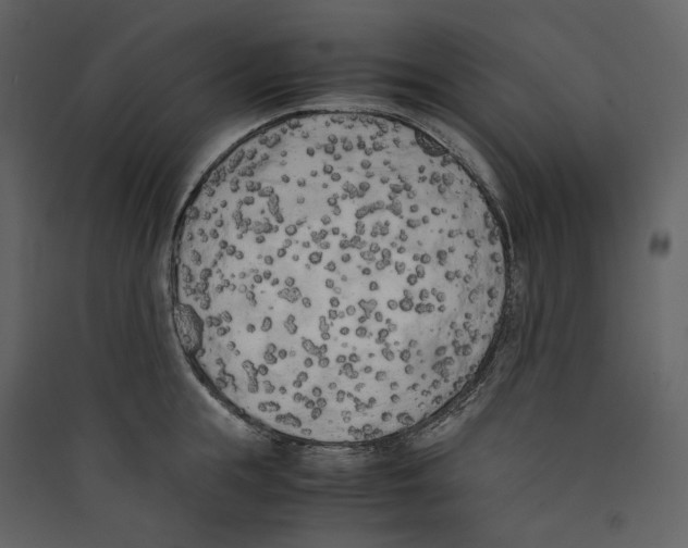 X0000089400855200707131738
