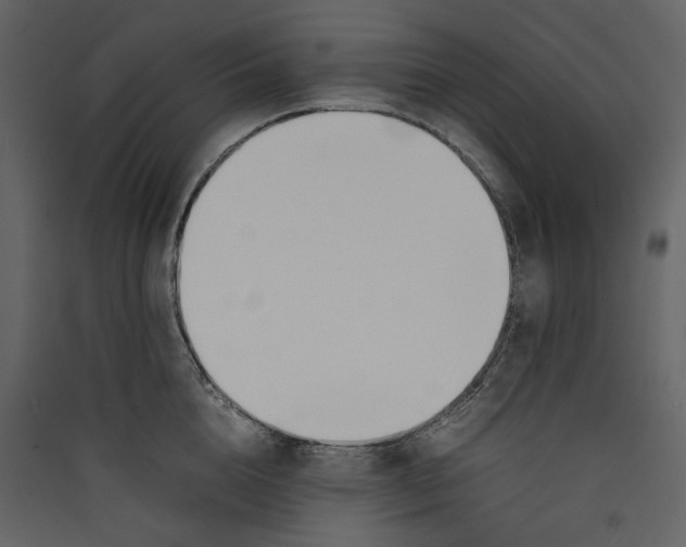 X0000089400856200707131738