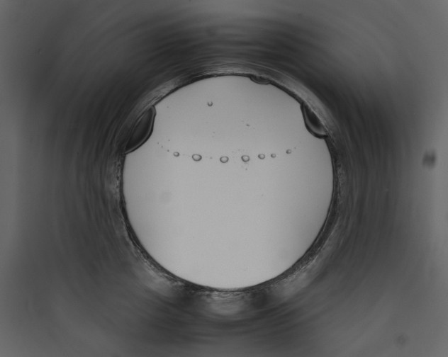 X0000089400857200707131738