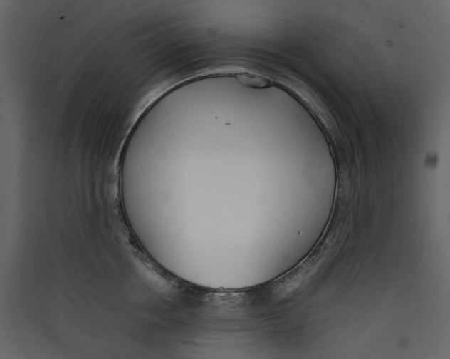 X0000089400858200707131738