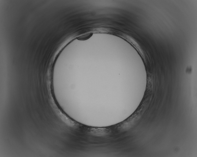 X0000089400859200707131739