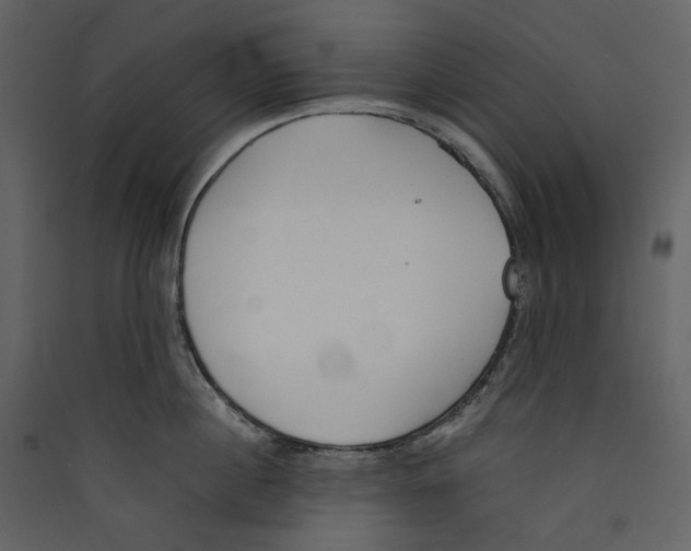 X0000089400860200707131739