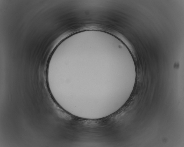 X0000089400861200707131739