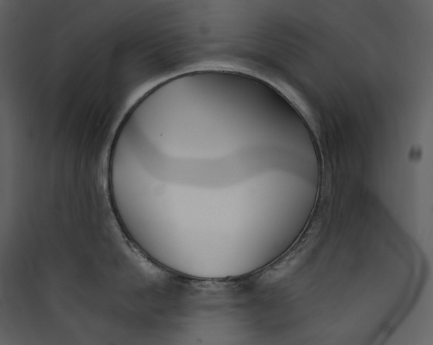 X0000089400862200707131739