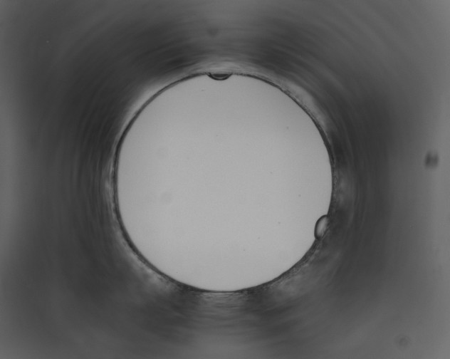 X0000089400863200707131739