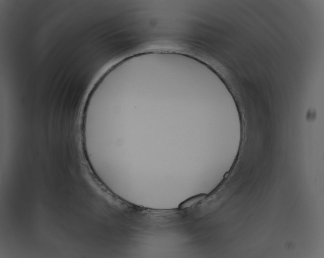 X0000089400864200707131739