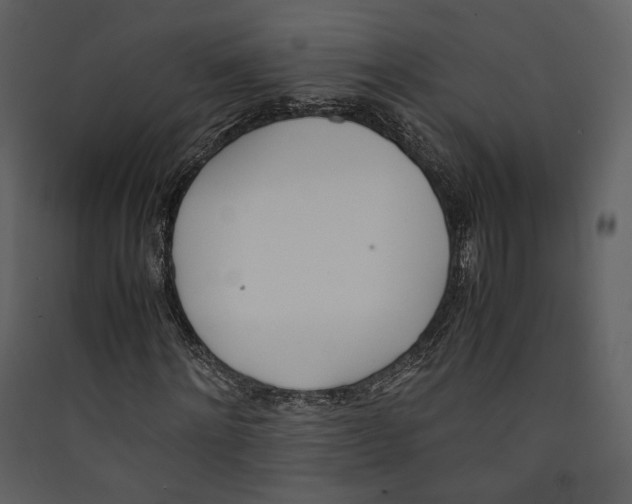 X0000089400868200707131738